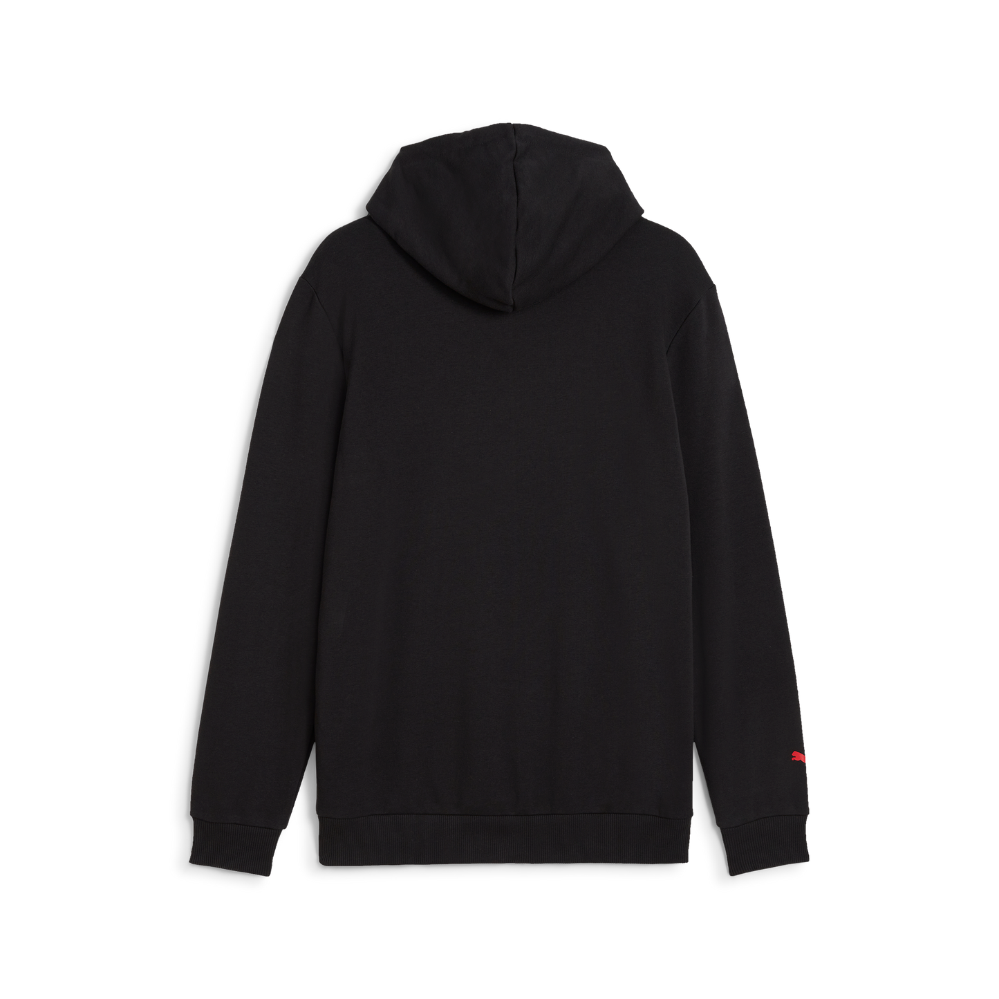 F1 Collection Formula 1® Logo Hoodie Black