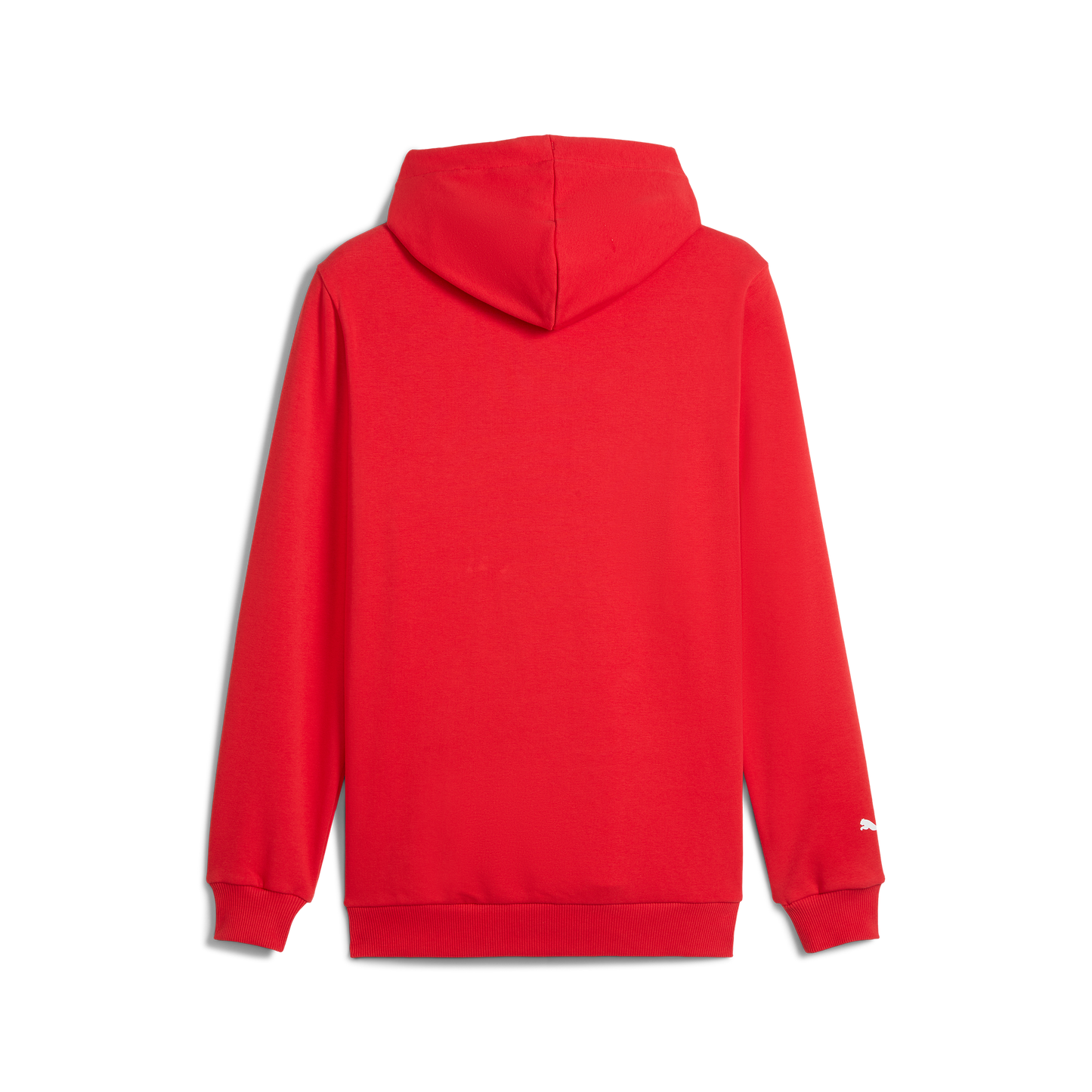F1 Collection Formula 1® Logo Hoodie Red
